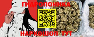 спайс Братск