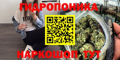 прущая мука Брянск