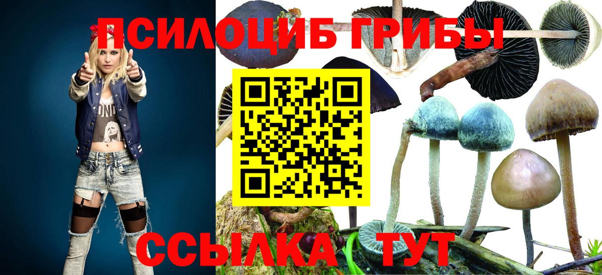 Красноуфимск  Псилоцибиновые грибы MAGIC MUSHROOMS  Вход с VPN  Псилоцибиновые грибы Cubensis 